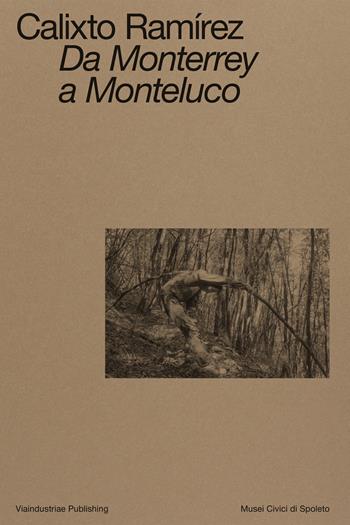 Calixto Ramírez. Da Monterrey a Monteluco. Catalogo della mostra (Spoleto, 11 novembre 2023-11 marzo 2024). Ediz. bilingue  - Libro Viaindustriae 2024 | Libraccio.it