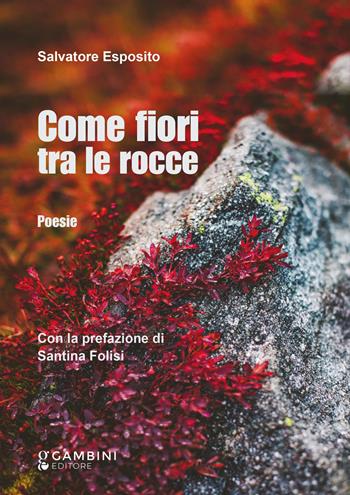 Come fiori tra le rocce - Salvatore Esposito - Libro Gambini Editore 2025 | Libraccio.it