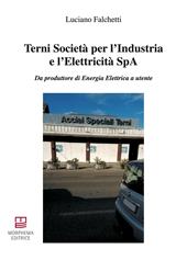 Terni Società per l'Industria e l'Elettricità SpA. Da produttore di energia elettrica a utente