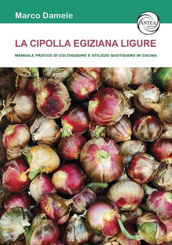 La cipolla egiziana ligure. Manuale pratico di coltivazione e utilizzo quotidiano in cucina - Marco Damele - Libro Antea Edizioni 2024, Il mondo verde | Libraccio.it