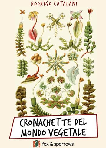 Cronachette del mondo vegetale - Rodrigo Catalani - Libro Fox&Sparrows Edizioni 2024 | Libraccio.it