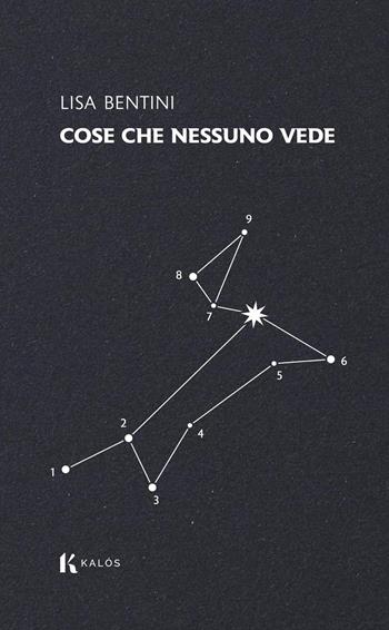 Cose che nessuno vede - Lisa Bentini - Libro Kalós 2026, Lapilli | Libraccio.it
