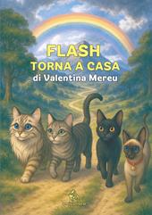Flash torna a casa. Ediz. illustrata