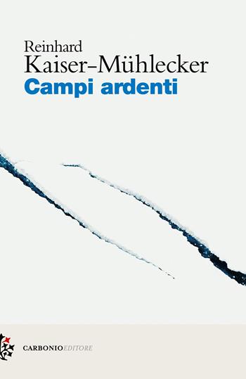 Campi ardenti - Reinhard Kaiser-Mühlecker - Libro Carbonio Editore 2025, Cielo stellato | Libraccio.it