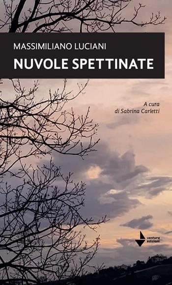 Nuvole spettinate - Massimiliano Luciani - Libro Venturaedizioni 2026, Emily | Libraccio.it