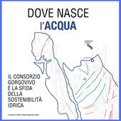 Dove nasce l'acqua. Il Consorzio Gorgovivo e la sfida della sostenibilità idrica. Ediz. illustrata