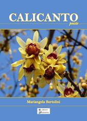 Calicanto