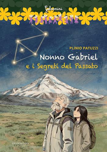 Nonno Gabriel e i segreti del passato - Plinio Patuzzi - Libro Gelsorosso 2026 | Libraccio.it