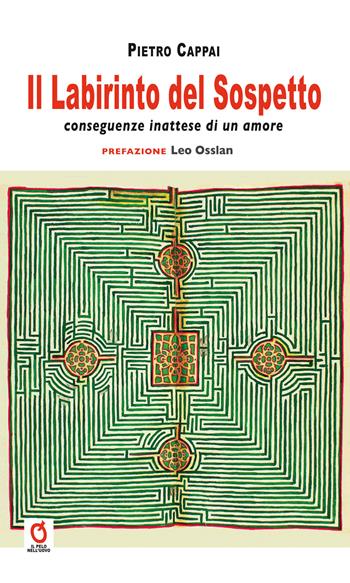 Il labirinto del sospetto. Conseguenze inattese di un amore - Pietro Cappai - Libro Fefè Editore 2026, Il pelo nell'uovo | Libraccio.it