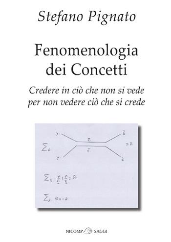 Fenomenologia dei concetti. Credere in ciò che non si vede per non vedere ciò che si crede - Stefano Pignato - Libro Nicomp Laboratorio Editoriale 2026, Saggi | Libraccio.it