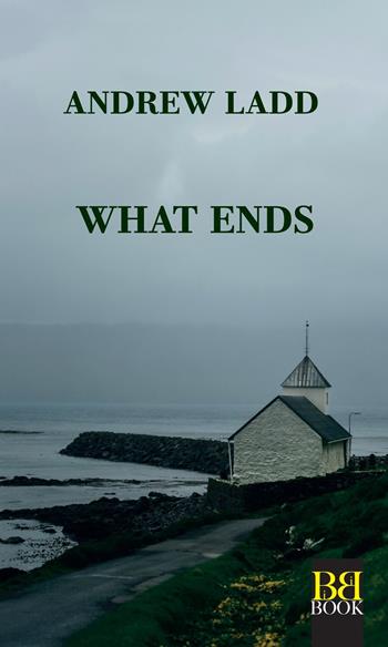 What ends - Andrew Ladd - Libro Bibi Book 2026 | Libraccio.it