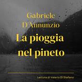Libraccio La pioggia nel pineto (audiolibro)