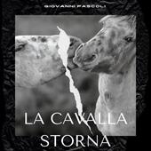 Libraccio La cavalla storna (audiolibro)