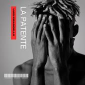 Libraccio La patente (audiolibro)