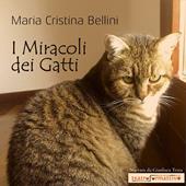 Libraccio I miracoli dei gatti (audiolibro)