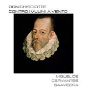 Libraccio Don Chisciotte contro i mulini a vento (audiolibro)