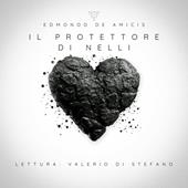 Libraccio Il protettore di Nelli (audiolibro)