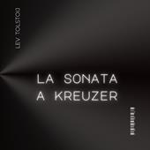 Libraccio La sonata a Kreuzer (audiolibro)