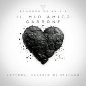 Libraccio Il mio amico Garrone (audiolibro)
