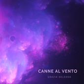 Libraccio Canne al vento (audiolibro)