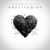 Libraccio Gratitudine (audiolibro)