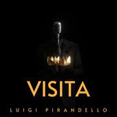 Libraccio Visita (audiolibro)