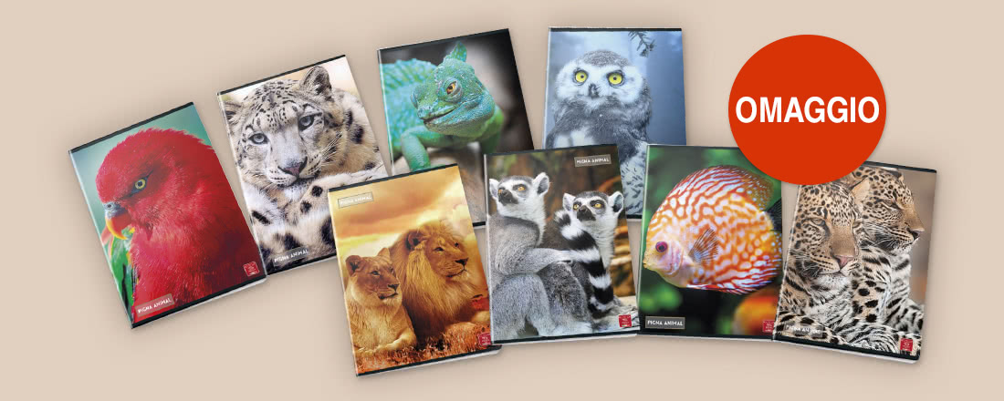 speciali libri deagostini gadget regalo quaderno omaggio