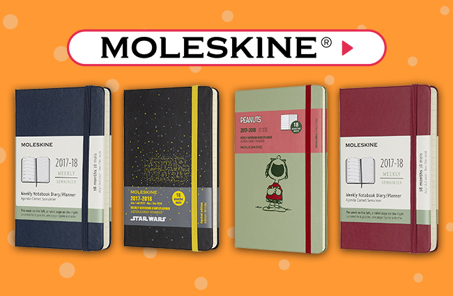 speciali pagina diari diari moleskine2