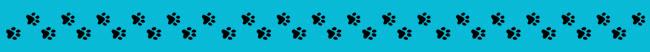 speciali pagina giornatamondialegatto gatto divisorio mob