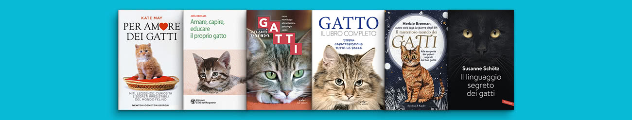 speciali pagina giornatamondialegatto gatto saggi