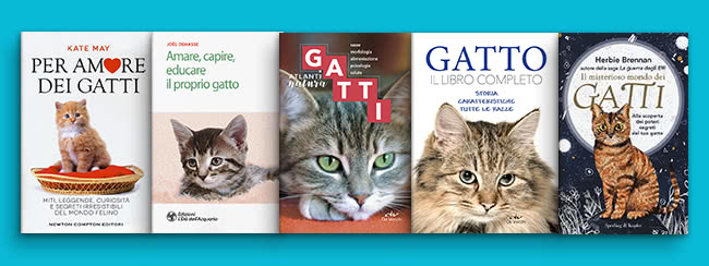 speciali pagina giornatamondialegatto gatto saggi mob