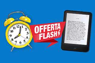 Offerta Flash